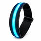 LED Horse Leg Bands – High-Visibility Light-Up Bands