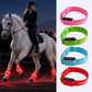 LED Horse Leg Bands – High-Visibility Light-Up Bands