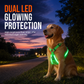 Adjustable LED Dog Harness Luminous Flashing Pet Chest Strap